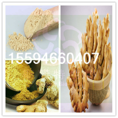 生姜粉食品粉保健粉厂家直供斯诺特生物