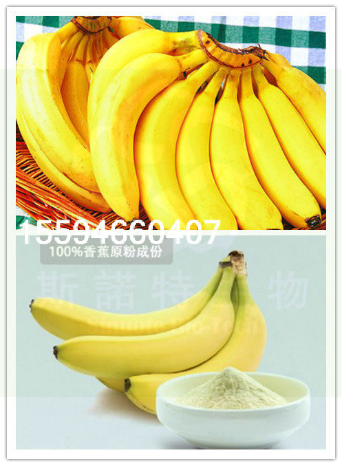 香蕉粉水果粉厂家直供斯诺特生物