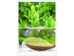 绿茶粉厂家直供斯诺特生物
