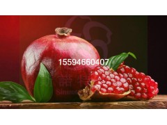 红石榴粉水果粉美容养颜厂家直供