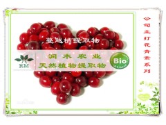 植物提取物厂家供应-蔓越莓提取物原花青素 40%