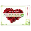 植物提取物厂家供应-蔓越莓提取物原花青素 25%