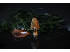 竹叶抗氧化物生产企业