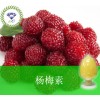 杨梅素 现货供应  529-44-2