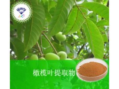 橄榄叶提取物 厂家直销