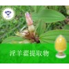 淫羊藿提取物 489-32-7 厂家直销