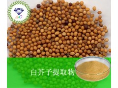 白芥子提取物  厂家直销