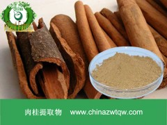 肉桂提取物   厂家直销