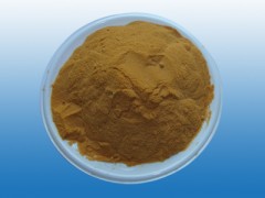 茶树花提取物  现货供应  用途