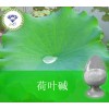 荷叶碱 475-83-2 厂家直销