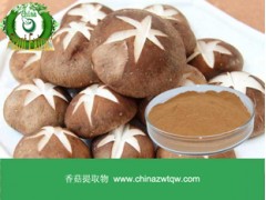 香菇提取物  厂家直销 现货供应