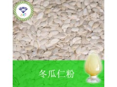 冬瓜仁粉  厂家直销  现货供应
