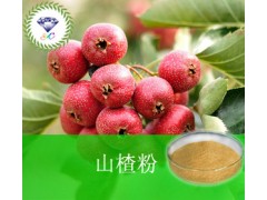 山楂粉  现货供应