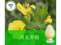 月见草粉 现货供应  用途
