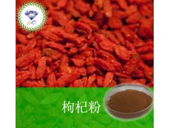 枸杞粉 现货供应  厂家直销