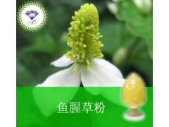 鱼腥草粉  厂家直销  现货