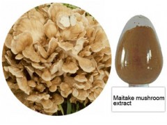 Grifola frondosa extract