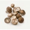 Shiitake mushroom extract