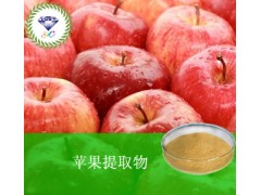 苹果提取物  厂家直销