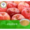 苹果提取物  厂家直销