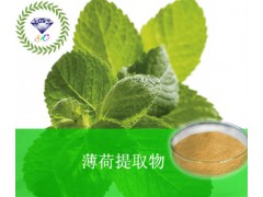 薄荷提取物  厂家直销