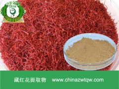 藏红花提取物  现货供应  价格