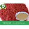 藏红花提取物  现货供应  价格