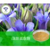 龙胆提取物   现货供应