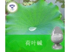 荷叶碱 475-83-2 厂家直销