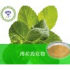 薄荷提取物  厂家直销