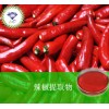 辣椒提取物  现货供应