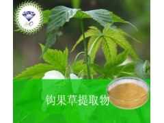 钩果草提取物  19210-12-9