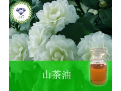 山茶油  现货
