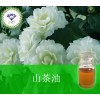 山茶油  现货