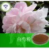 白芍粉 现货供应