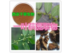 一叶萩提取物 一叶萩水溶粉