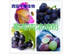 葡萄肉提取物 葡萄肉水溶粉