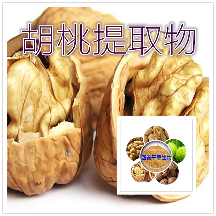 胡桃提取物0