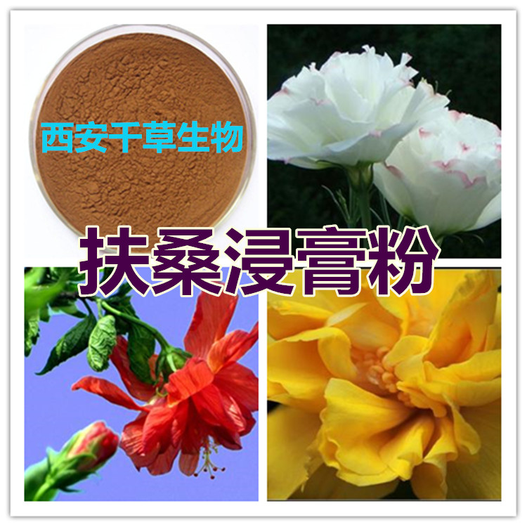 扶桑浸膏粉