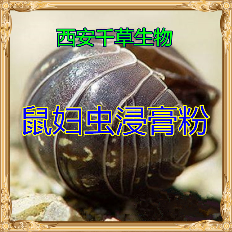 鼠妇提取物 鼠妇水溶粉