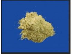 颠茄提取物  现货供应