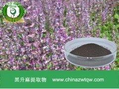 黑升麻提取物  84776-26-1 现货