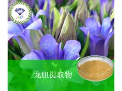 龙胆提取物 现货供应