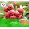 山楂粉 现货供应