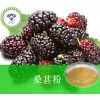 桑葚粉 现货供应 厂家直销