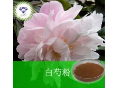 白芍粉 现货供应 用途