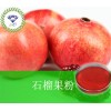 石榴果粉  厂家直销 现货