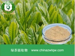 绿茶粉 现货供应