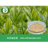 绿茶粉 现货供应