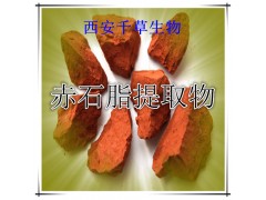 远志浓缩粉水溶粉